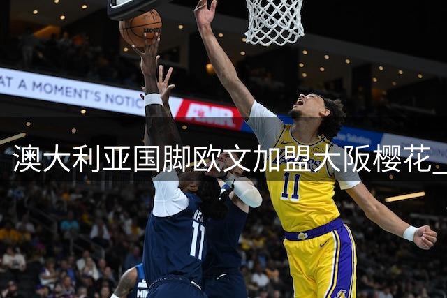 澳大利亚国脚欧文加盟大阪樱花 开启职业生涯新篇章