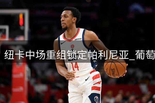 纽卡中场重组锁定帕利尼亚 葡萄牙国脚或成新核